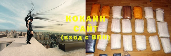стафф Дмитров