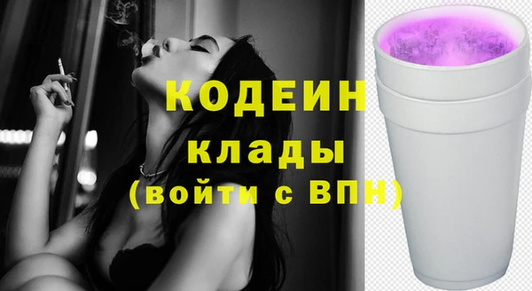 дмт Дмитровск