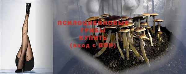 кристаллы Дмитриев