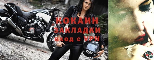дмт Дмитровск