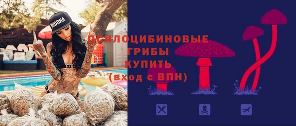 стафф Дмитров