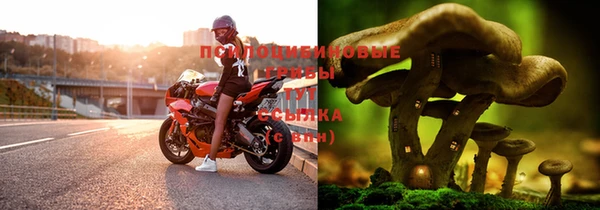 дмт Дмитровск