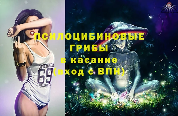 стафф Дмитров